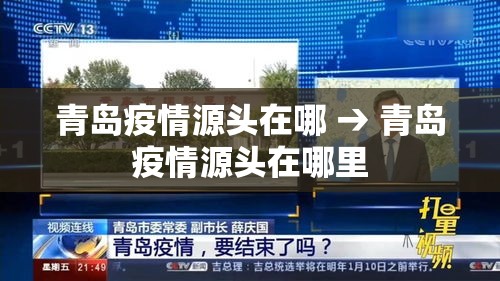 青岛疫情源头在哪 → 青岛疫情源头在哪里