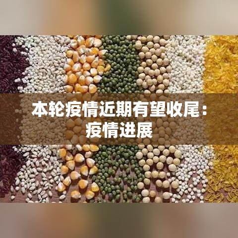 本轮疫情近期有望收尾：疫情进展