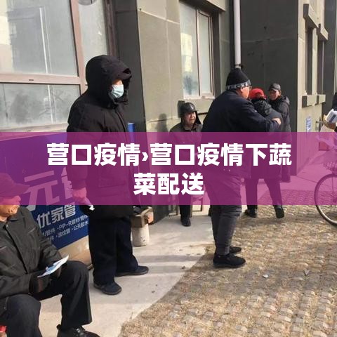 营口疫情›营口疫情下蔬菜配送