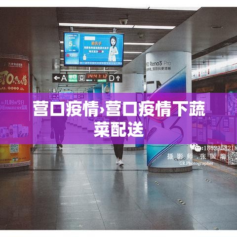 营口疫情›营口疫情下蔬菜配送
