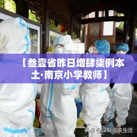 【叁壹省昨日增肆柒例本土·南京小学教师】 【叁壹省昨日增肆柒例本土·南京小学教师】